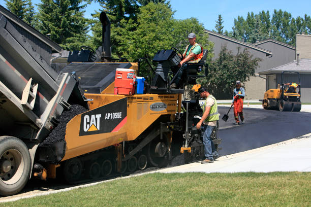 Best Local Driveway Pavers  in Elkridge, MD